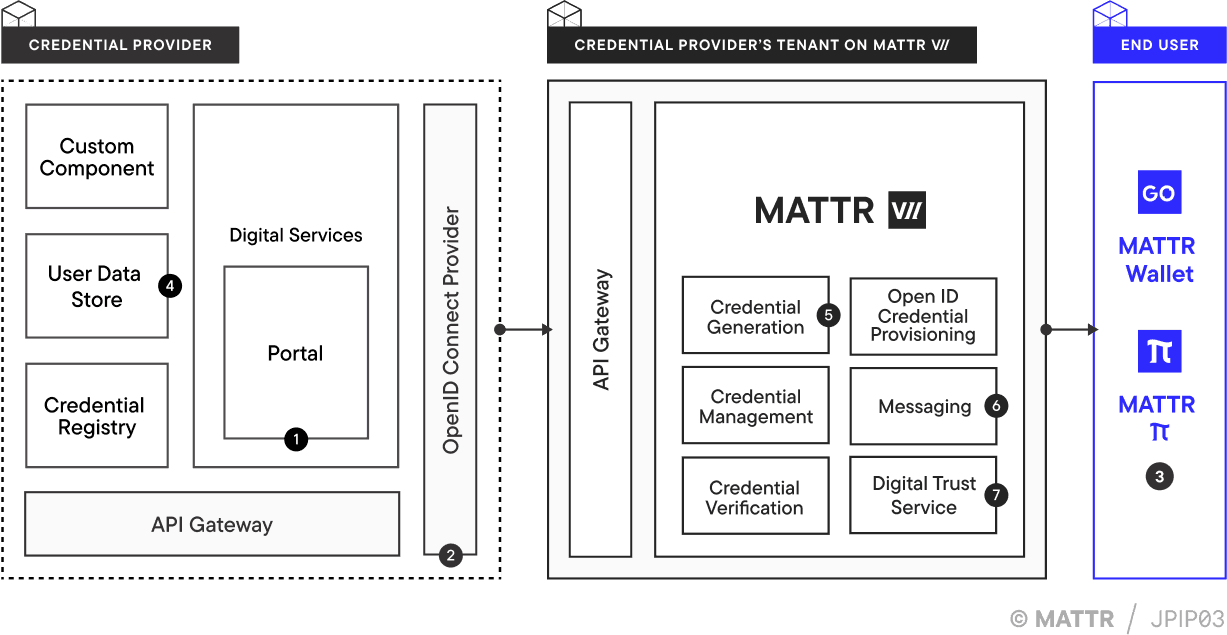 Direct JSON issuance architecture